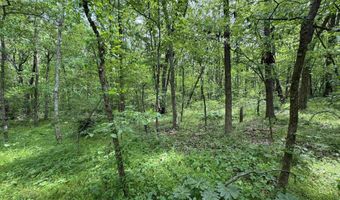 Tract 1 East Bay Road, Atkins, AR 72823