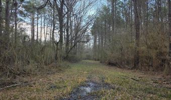 U.S. Highway 51, Bogue Chitto, MS 39629