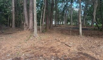 9 Horton Trl, Beaufort, SC 29906