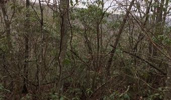 Lot 393 East Obey Lane, Wilder, TN 38589