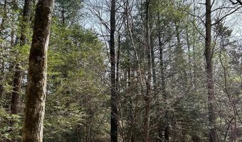 385 ELK CREEK Rd, Aaronsburg, PA 16820