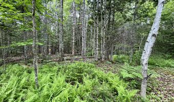 M5 L27-3 Marks Road, Albion, ME 04910