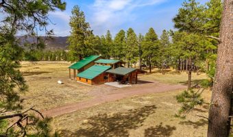 7 A County Road N2312, Alpine, AZ 85920