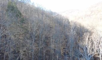 14001 Ridgeview Nellis Rd, Ashford, WV 25142