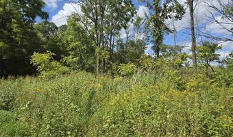 14296 Tubspring Vl, Allenton, MI 48002