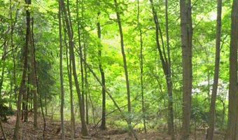 L51 The Mall, Amsterdam, NY 12010