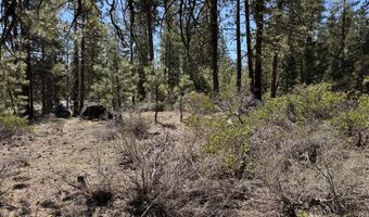 Horned Owl Way 385461, Bonanza, OR 97623