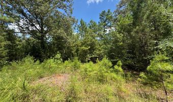 1324 Highway 81 N, Calhoun Falls, SC 29628