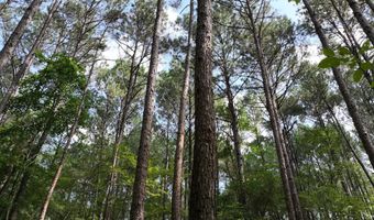 Highway 112, Abbeville, GA 31001