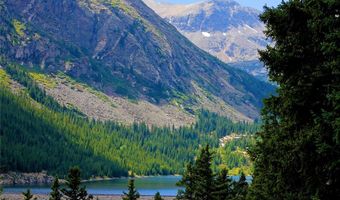 926 Nuthatch Dr, Alma, CO 80420