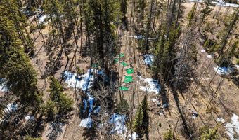 1227 Edgewood Rd, Alma, CO 80420
