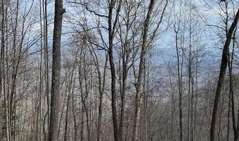 Fontana Trace Drive lot 82, Almond, NC 28702