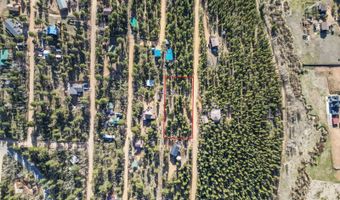 272 Wise Rd, Bailey, CO 80421