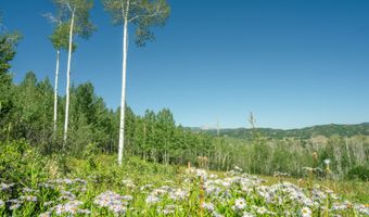 1833 W Buttermilk Rd, Aspen, CO 81611