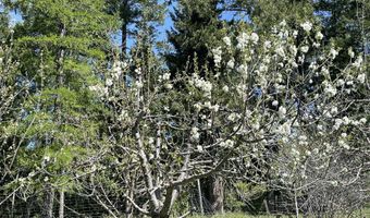 2447 Turner Hill Rd, Bonners Ferry, ID 83805