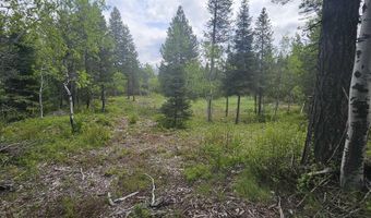 23 Sawtooth Loop, Cascade, ID 83611