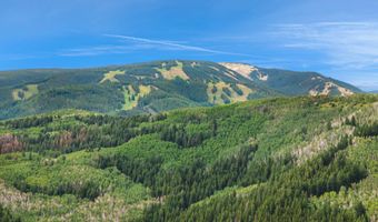 103 Deer Blvd A, Avon, CO 81620
