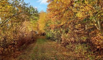 31538 County 23, Akeley, MN 56433