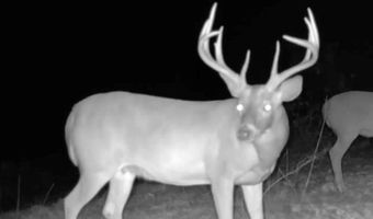 1037 Cr 300, Big Creek, MS 38914
