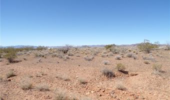 308-22 395 N Palo Verde Dr, Chloride, AZ 86431
