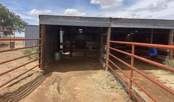 16903 N County Rd 2000, Abernathy, TX 79311