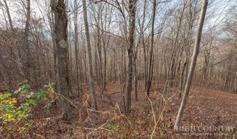 Larkspur Trail lot 33, Banner Elk, NC 28604