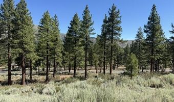 3265 Summit Camp Way C24/310, Carson City, NV 89705