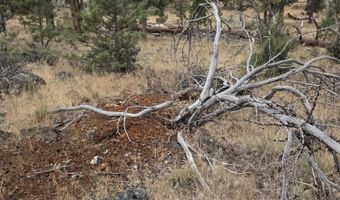 8314 Bly Mountain Cutoff Rd, Bonanza, OR 97623