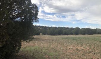 302-17 306 Haywire Rd, Ash Fork, AZ 86320
