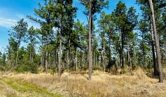 5-6 Laird Lane FM 357, Apple Springs, TX 75926