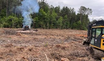 715 Old Pinola Braxton Rd, Braxton, MS 39044