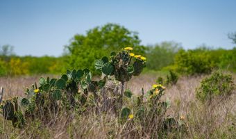 FM 735, Alice, TX 78332