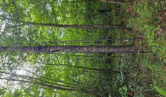 1408 Coleman Mountain Rd, Appomattox, VA 24522