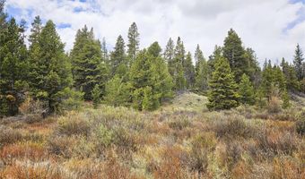 700 Looney Ln Lot 0, Alma, CO 80420