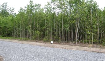 EASEMENT OFF OF SHORTLY RD lot C - 133-9.00-9.18, Georgetown, DE 19947