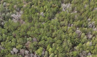 TBD Hwy. 29, Brooklyn, MS 39425