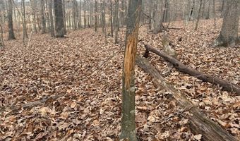 4800 Glendale Dr, Barboursville, VA 22923