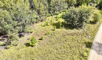 Eugene Ward Road, Adrian, GA 31002