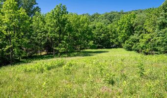 TBD ROCKFISH ORCHARD DR, Afton, VA 22920