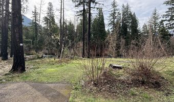54480 McKenzie River Dr, Blue River, OR 97413