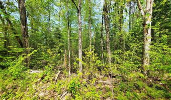 Maple Road lot 3, Atkinson, ME 04426
