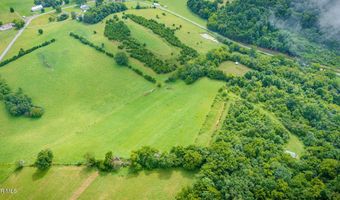 1385 Betsy Ross Rd, Afton, TN 37616