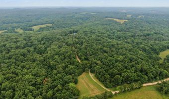 17585 Co Rd #Af-304, Ava, MO 65608