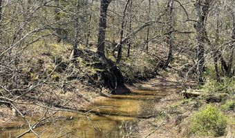 Willow Bend Lane, Atoka, OK 74525