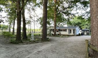 2166 Healing Springs Rd, Blackville, SC 29817