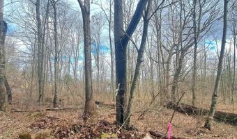 Glade Run Road, Albright, WV 26519