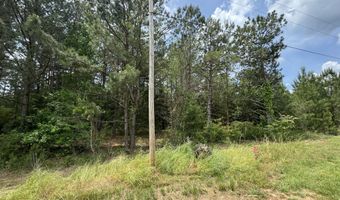 0 W Oglethorpe St 4, Ellaville, GA 31806