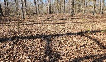 1506 Ridgeway Cir, Athens, TN 37303