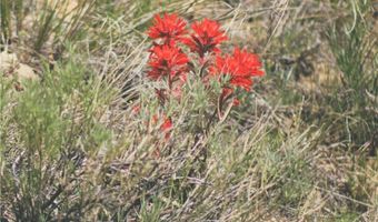 COS 947 Tract 11, Belfry, MT 59008