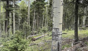 Lot 1419 Sacramento, Angel Fire, NM 87710